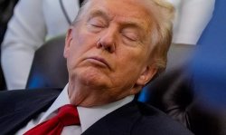 Donald Trump sleeping in the Oval Office Old Man Meme Template