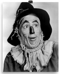 Scarecrow Wizard of Oz Meme Template