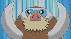 Mamoswine Meme Template