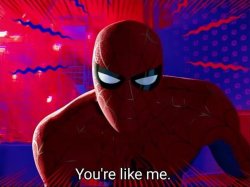 Spider man you’re like me Meme Template