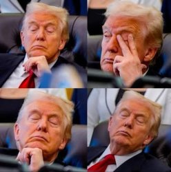 DOZY DON Meme Template