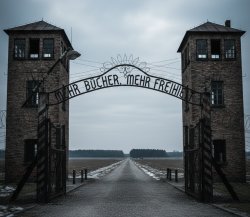 Più libri più liberi Meme Template