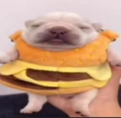 when you trying to sleep Meme Template