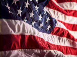 Johnny Angel- New  Orleans Meme Template