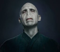 Voldemort Meme Template