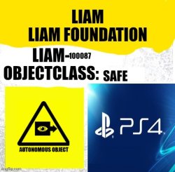 LIAM-100087 Meme Template