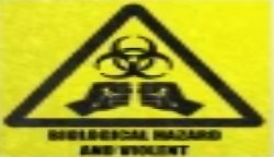 Biological Hazard And Violent Meme Template