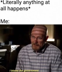 I blame the government Meme Template