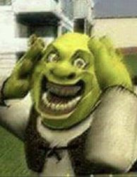 SHREK @pisikediofficial Meme Template