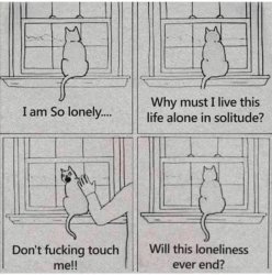 Lonely cat Meme Template
