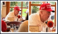 Drowzy Don Meme Template