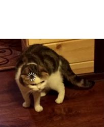 Loading cat + text on top Meme Template