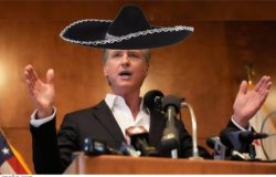 Gavin Newsom lying again Meme Template