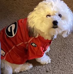 Crystal Salyers Meme Template