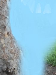 Giant Worm Meme Template