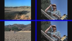 Hocker's field template Meme Template