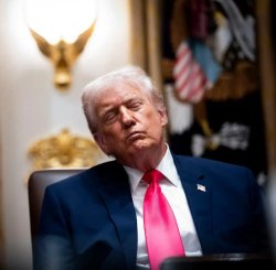 Trump Asleep Meme Template