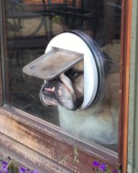 Chrisjoines1 Meme Template