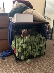 Chrisjoines1 Meme Template