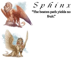 Spinx (aka erocitnaM) Meme Template