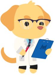 Doctor Jennifer Dogna Meme Template