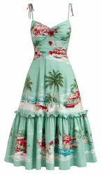 Hawaiian Dress Meme Template