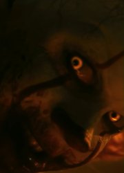 Pennywise Meme Template