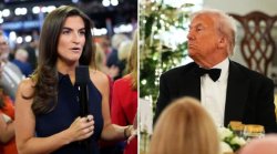 Kaitlan Collins Donald Trump Meme Template