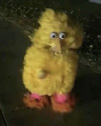 Blurry big bird Meme Template