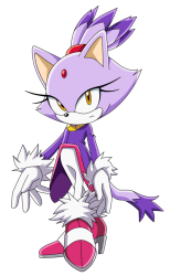 Blaze the Cat (Sonic X Anime Version) Meme Template