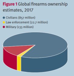 Firearms Ownership Pie graph Meme Template