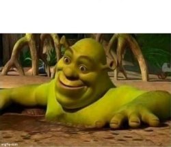Shrek Mud Bath Meme Template