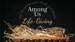 Holy Christmas and a Blessed Year Ahead Meme Template