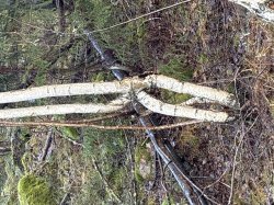 Teenage bend Meme Template