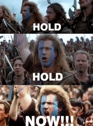 hold... hold... Meme Template