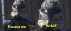 Excuse me, WHAT Meme Template