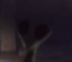 Mantis man Meme Template