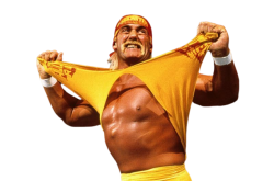 Hulk Hogan Meme Template