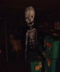 SCP-3148 Meme Template