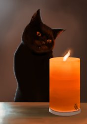 cat staring at candle flame Meme Template