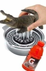 is your gatorade really worth it? Meme Template