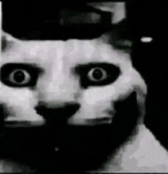Horror cat Meme Template