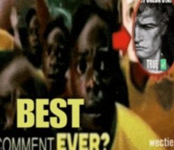 best comment ever? Meme Template
