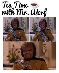 Tea Time with Mr. Worf Meme Template