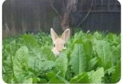 Never Zero Meme Template