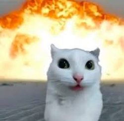 Cat near a explosion Meme Template