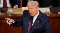 Two-Ounce Brain Meme Template