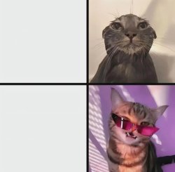 Wet & Cool Meme Template