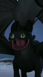 weird ahh toothless Meme Template