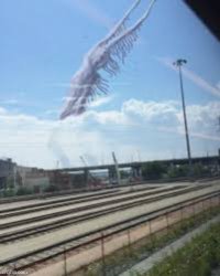 SCP-4932-LR Meme Template